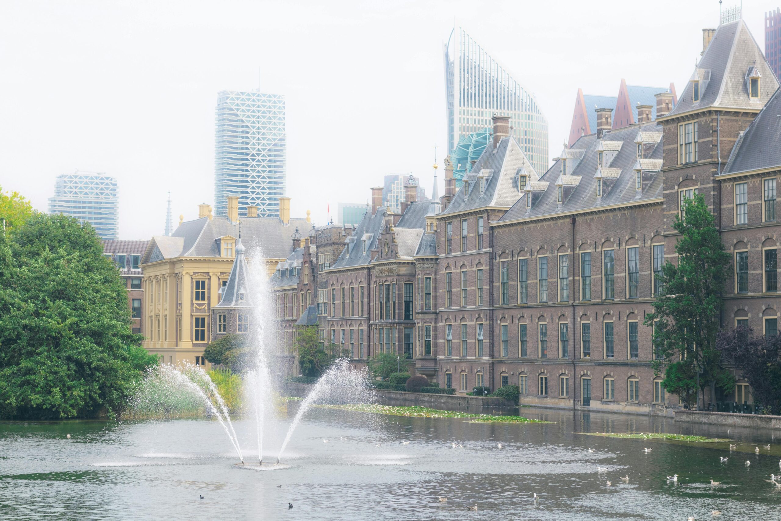 Unieke manieren om Den Haag te verkennen