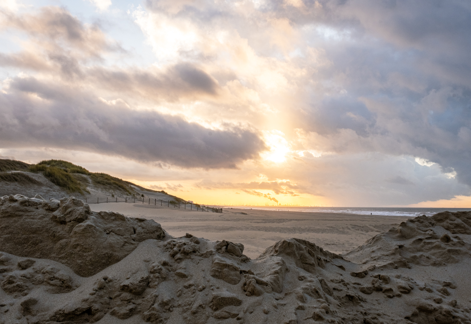 Natuur krijgt vrij spel op het strand, geen extra permanente strandpaviljoens