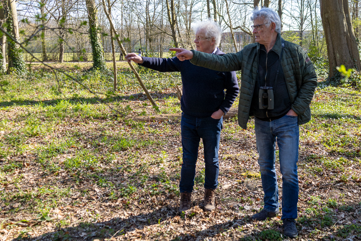 Haagse Vogelbescherming bestaat 100 jaar: strijden voor tjifjafs, wulpen en ijsvogels